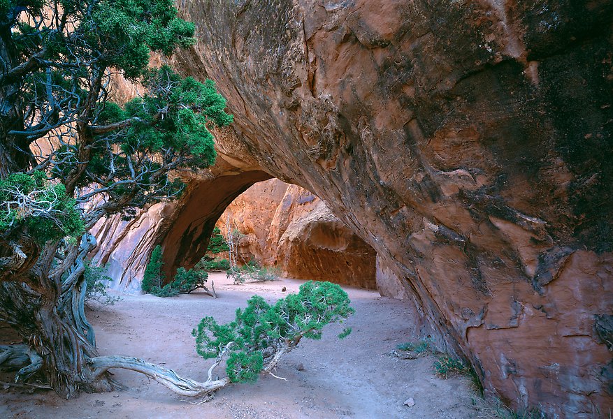 Arches National Park.  ()