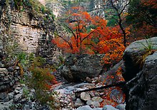 Guadalupe Mountains National Park.  ( )