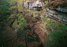 Mammoth Cave National Park.  ( )