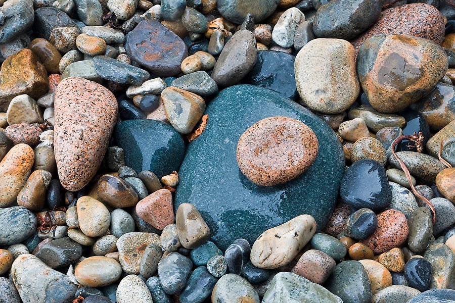 Pebbles shining in the rain. Acadia National Park.  ()