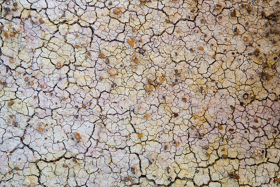 Cracks in yellow fossil soil. Badlands National Park.  ()
