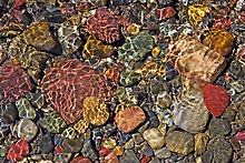 Pebbles and wavelets, Grinnel Lake. Glacier National Park.  ( )