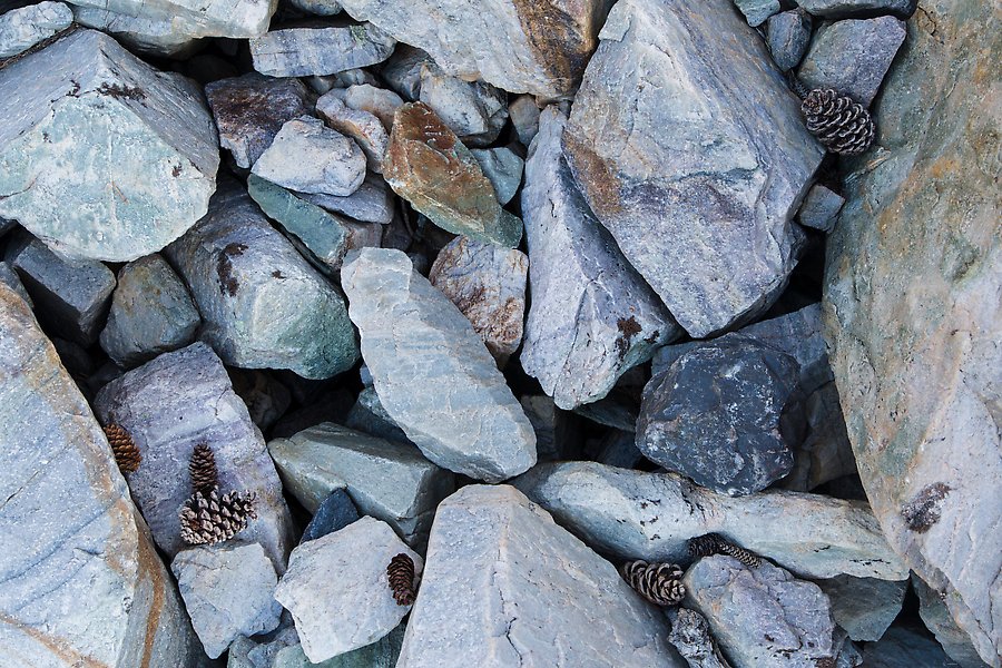 Quartzite blocks and bristlecone pine cones. Great Basin National Park.  ()