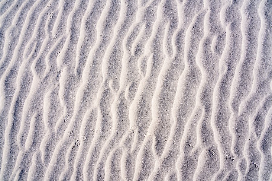 Dune ripples and kangaroo rat tracks. White Sands National Park.  ()