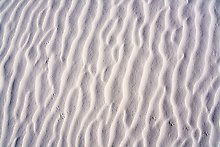 Dune ripples and kangaroo rat tracks. White Sands National Park.  ( )