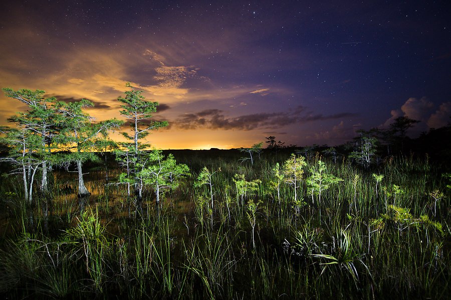 Everglades National Park.  ()