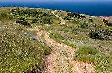 Santa Cruz Island, Channel Islands National Park.  ( )