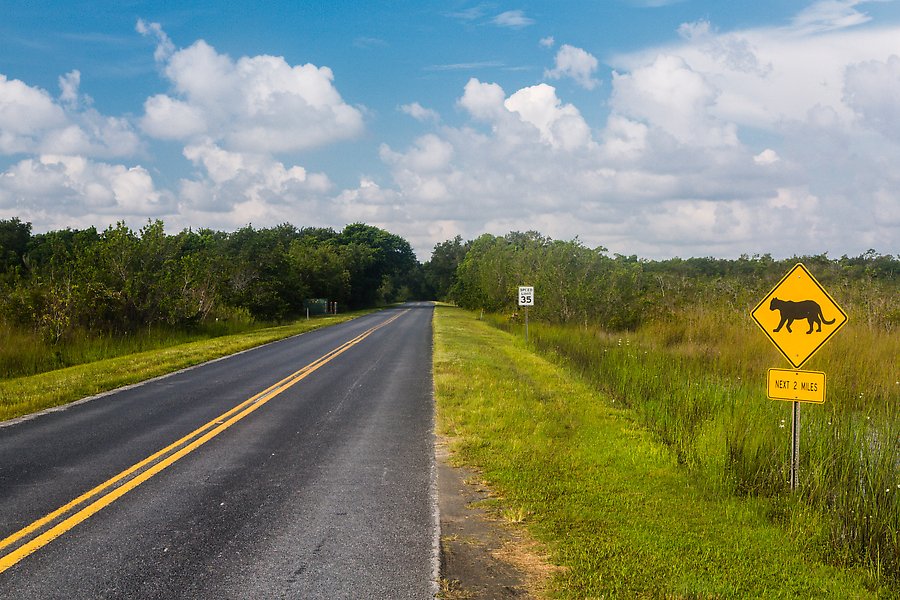 Main Park Road. Everglades National Park.  ()