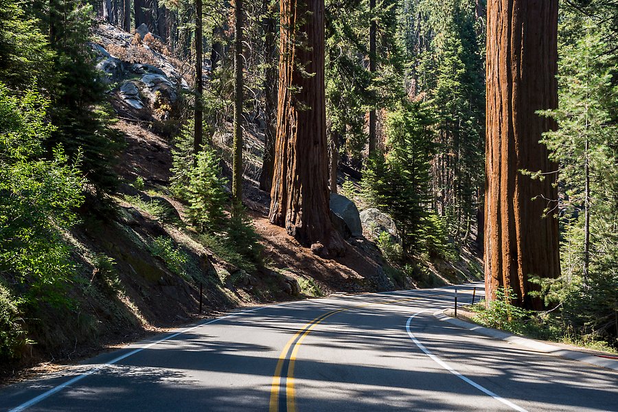 Generals Highway. Sequoia National Park.  ()