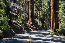 Generals Highway. Sequoia National Park.  ( )