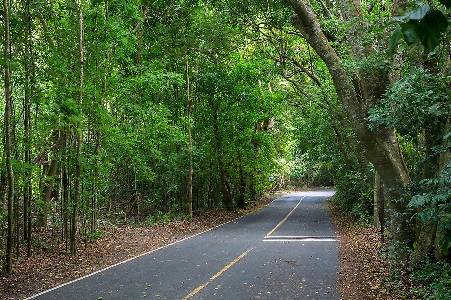 North Shore Road. Virgin Islands National Park.  ()