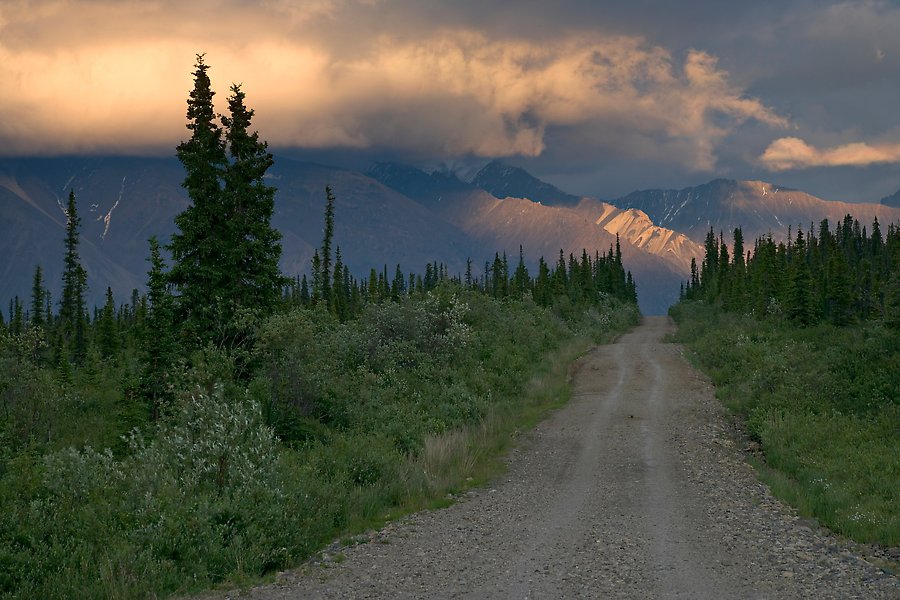 Nabesna Road. Wrangell-St Elias National Park.  ()
