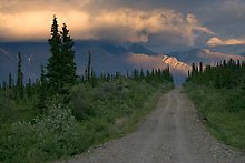 Nabesna road, Wrangell-St Elias National Park.  ( )