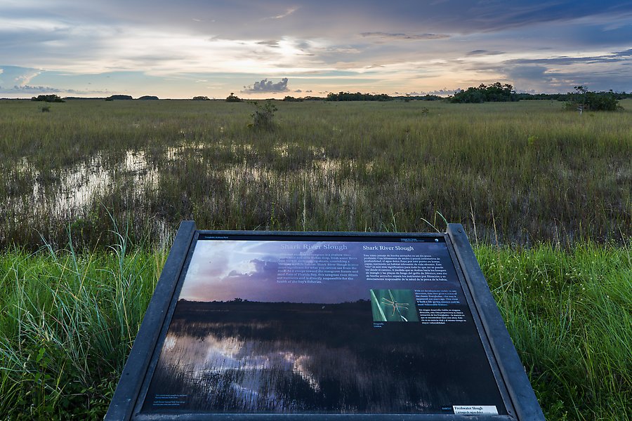 Shark River Slough. Everglades National Park.  ()