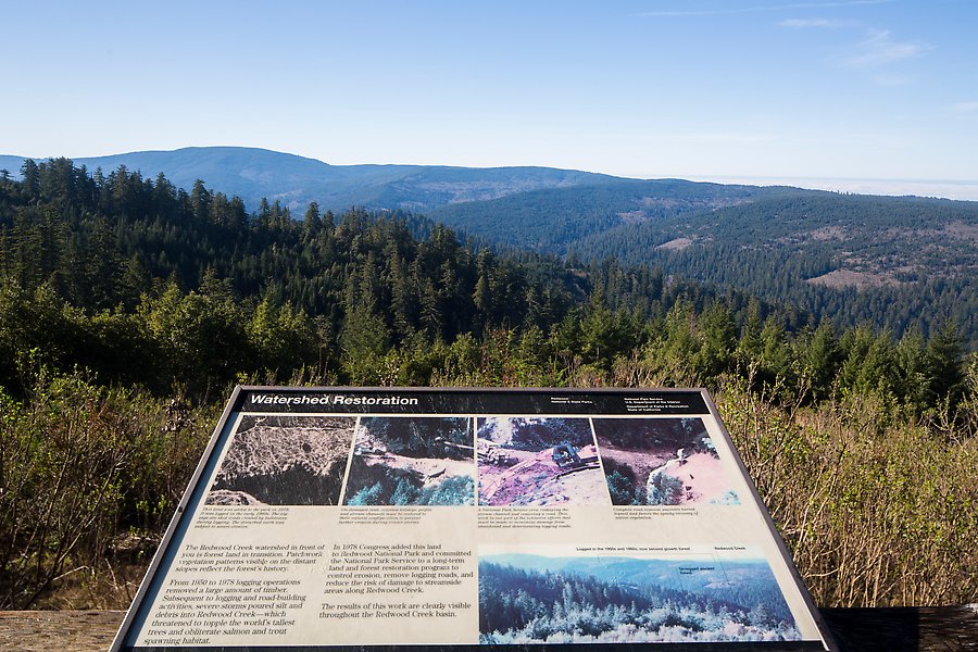 Redwood Creek watershed. Redwood National Park.  ()