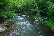 Little River. Great Smoky Mountains National Park.  ( )