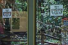 Rain forest, Hoh rain forest visitor center. Olympic National Park.  ( )
