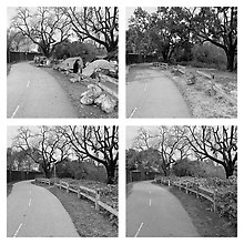 Pictures of The Trail, Cleared