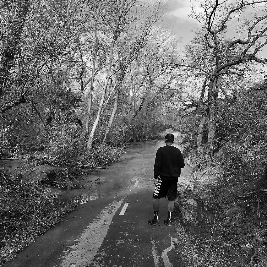 Coyote Creek Trail - Coyote Creek Trail ()