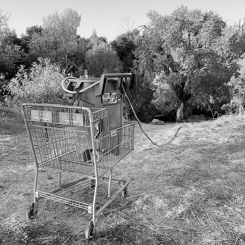 Coyote Creek Trail - Coyote Creek Trail ()