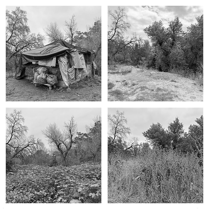 The Trail, Cleared - Coyote Creek ()