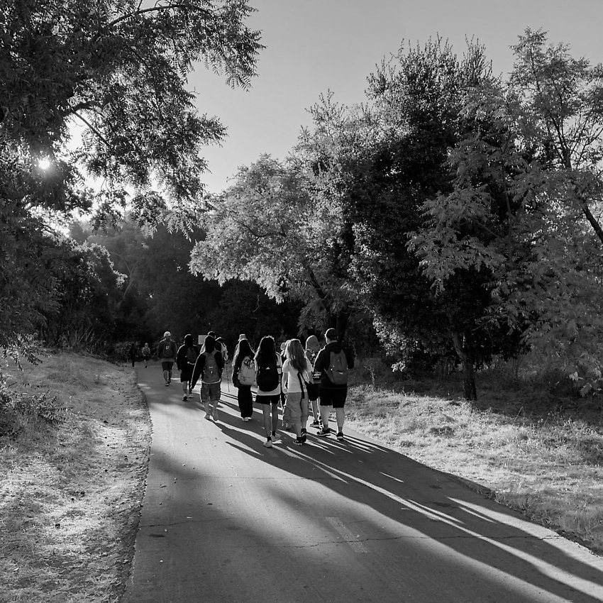 The Trail - The Trail ()