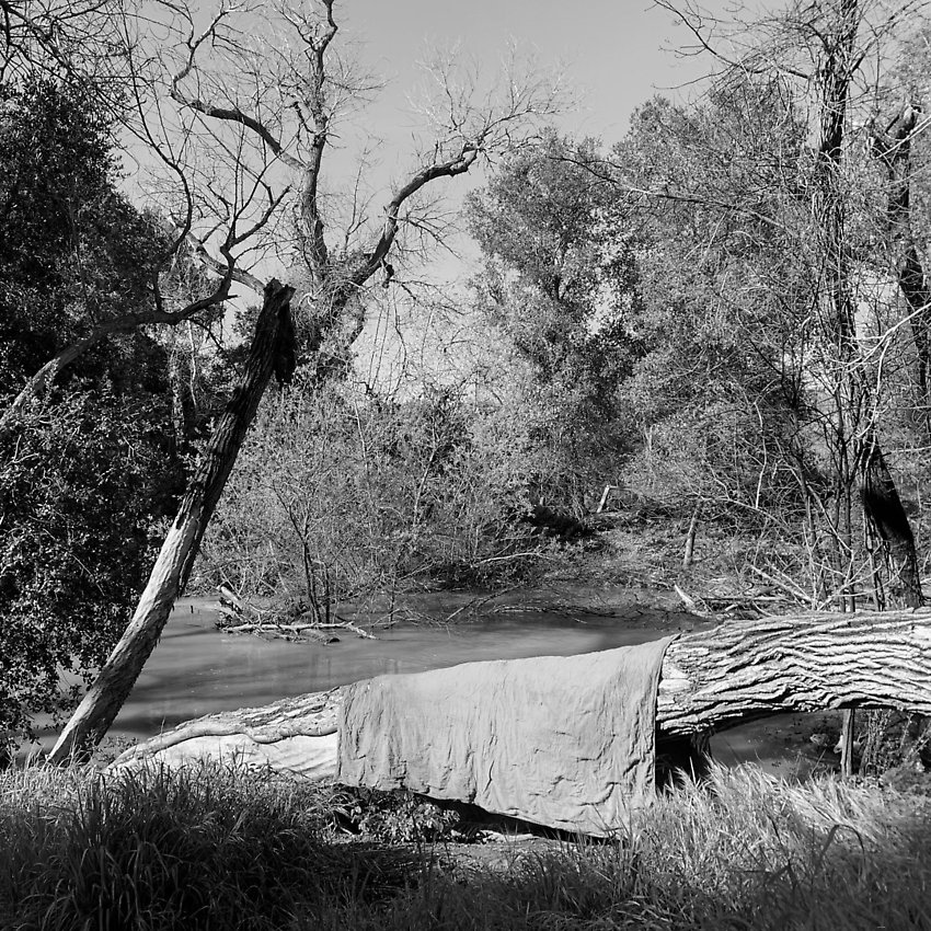 The Trail - The Trail ()