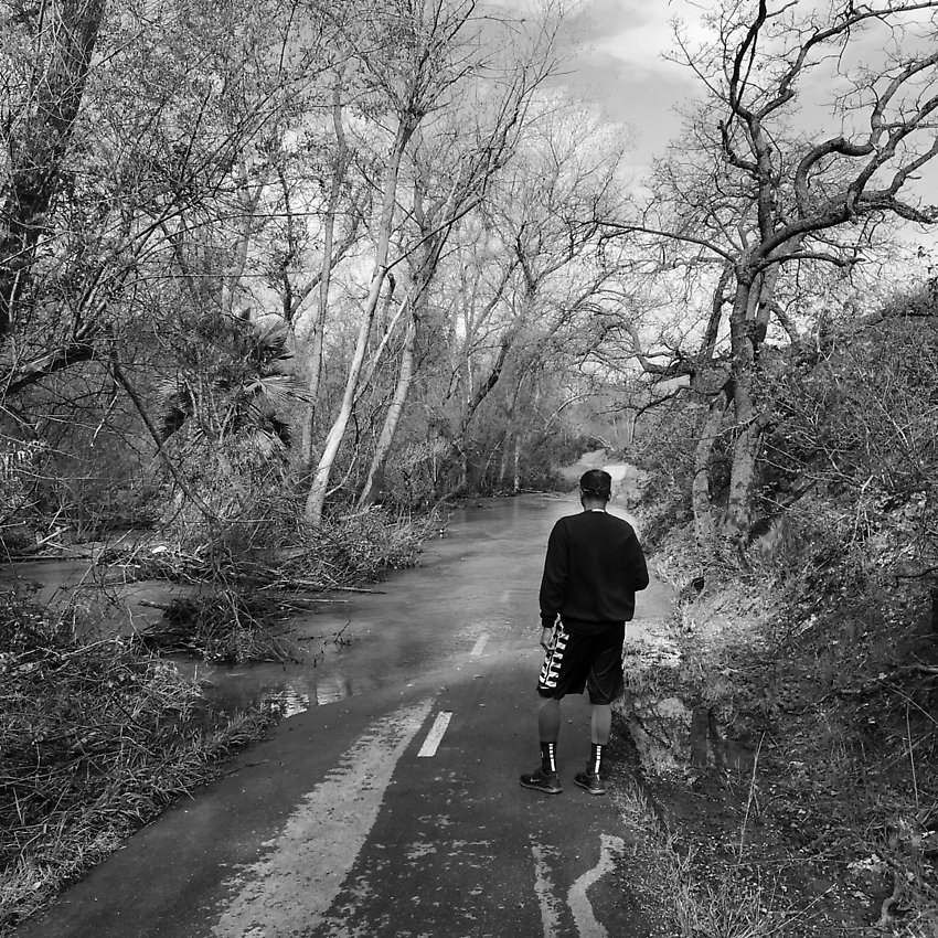 The Trail - The Trail ()