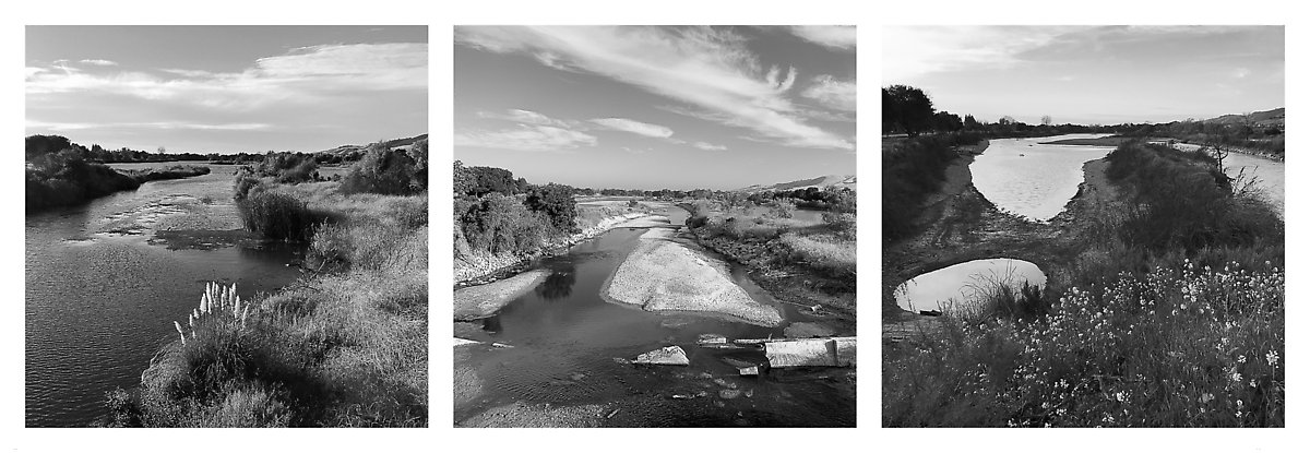 The Trail - Coyote Creek ()