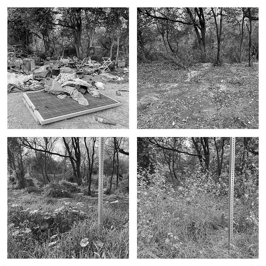 The Trail, Cleared - Coyote Creek ()