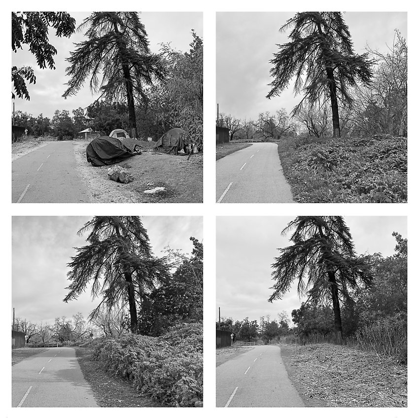 The Trail, Cleared - Coyote Creek ()