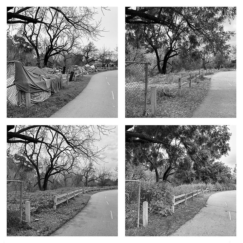 The Trail, Cleared - Coyote Creek ()