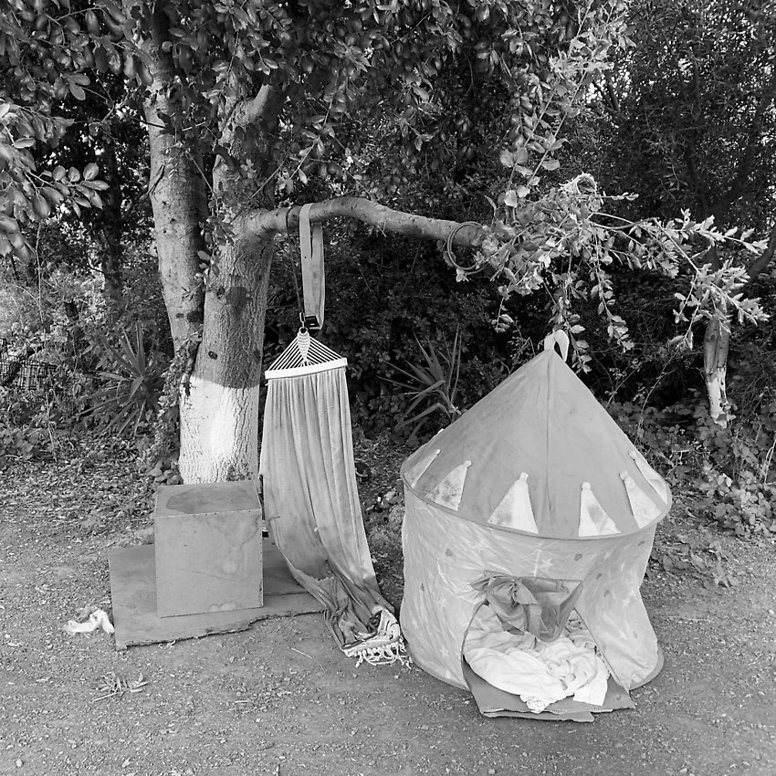 The Trail - The Trail ()