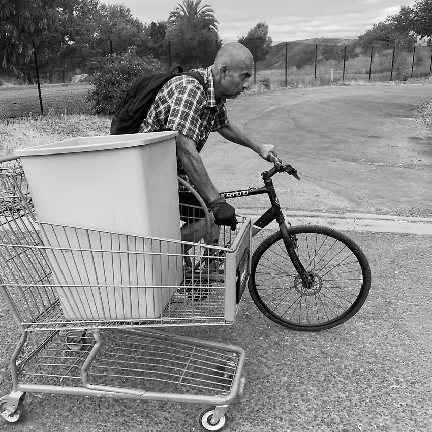 The Trail - The Trail ()