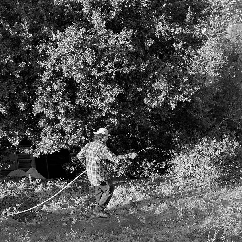 The Trail - The Trail ()