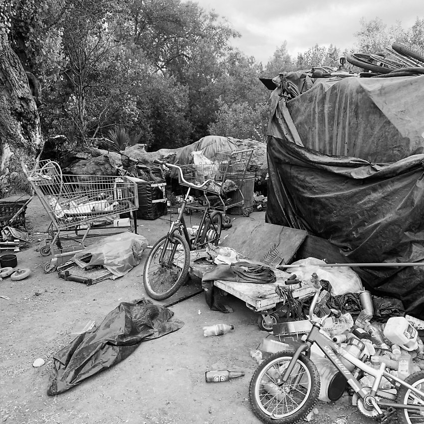 The Trail - The Trail ()