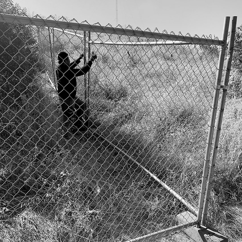 The Trail - The Trail ()