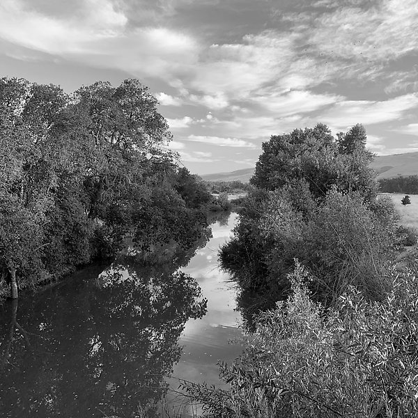 Coyote Creek Trail - Coyote Creek Trail ()