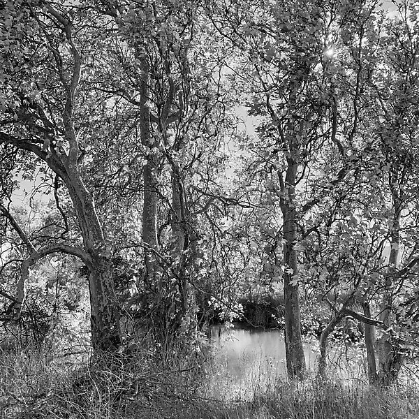 Coyote Creek Trail - Coyote Creek Trail ()