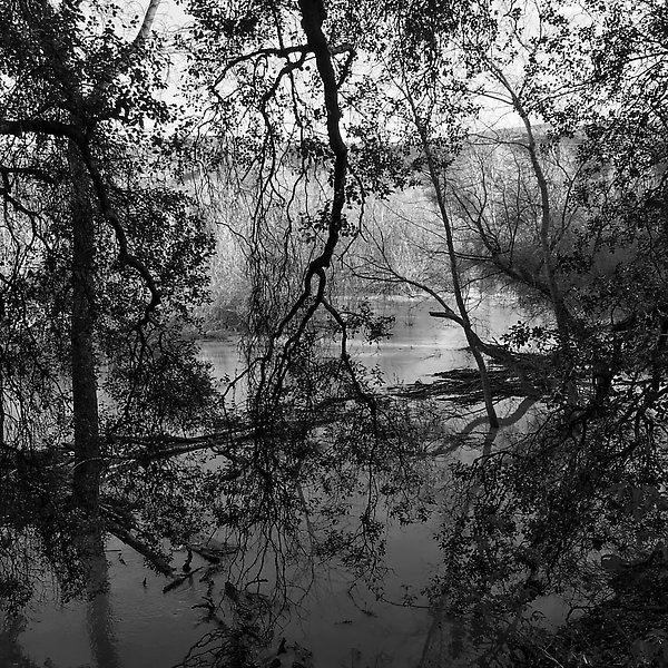 Coyote Creek Trail - Coyote Creek Trail ()