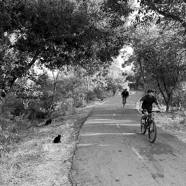 Coyote Creek Trail - Coyote Creek Trail ()