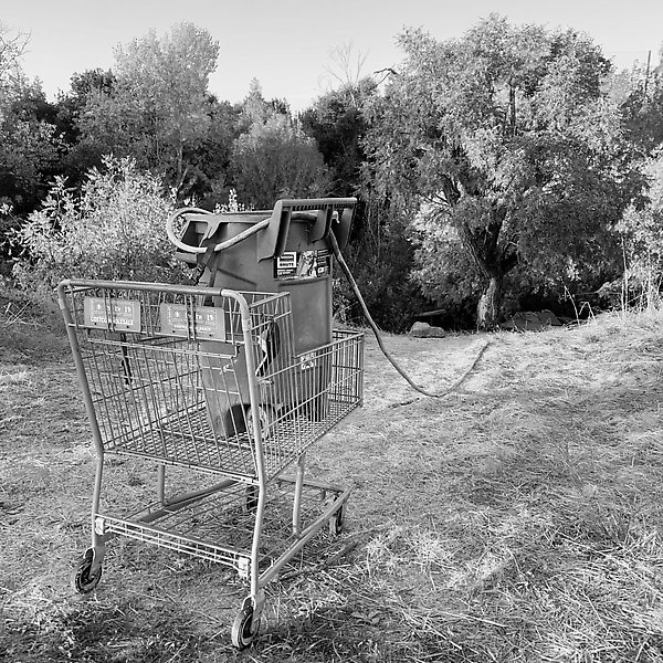 Coyote Creek Trail - Coyote Creek Trail ()