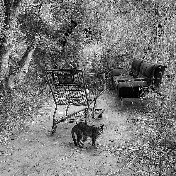 Coyote Creek Trail - Coyote Creek Trail ()