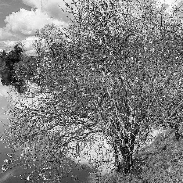 Coyote Creek Trail - Coyote Creek Trail ()