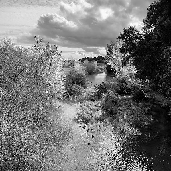 Coyote Creek Trail - Coyote Creek Trail ()