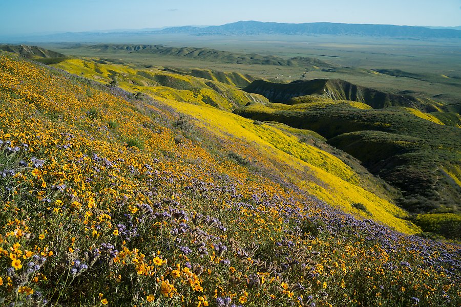 Carrizo Plain National Monument, California.  ()