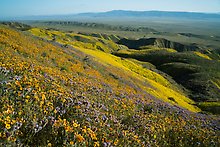 Carrizo Plain National Monument, California.  ( )