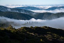 Berryessa Snow Mountain National Monument, California.  ( )