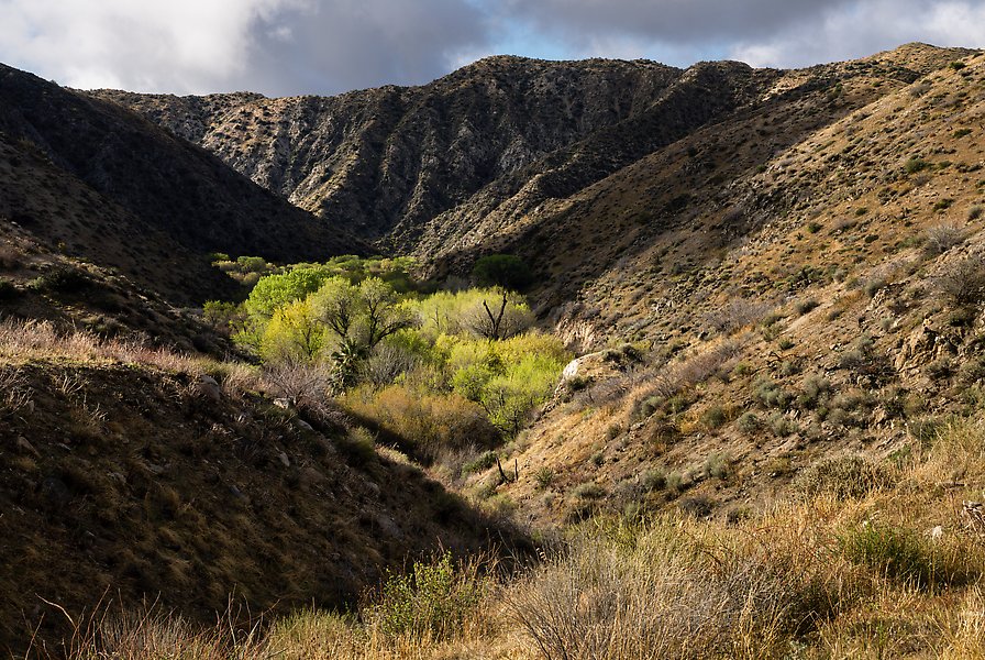 Sand to Snow National Monument, California.  ()