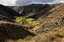 Sand to Snow National Monument, California.  ( )